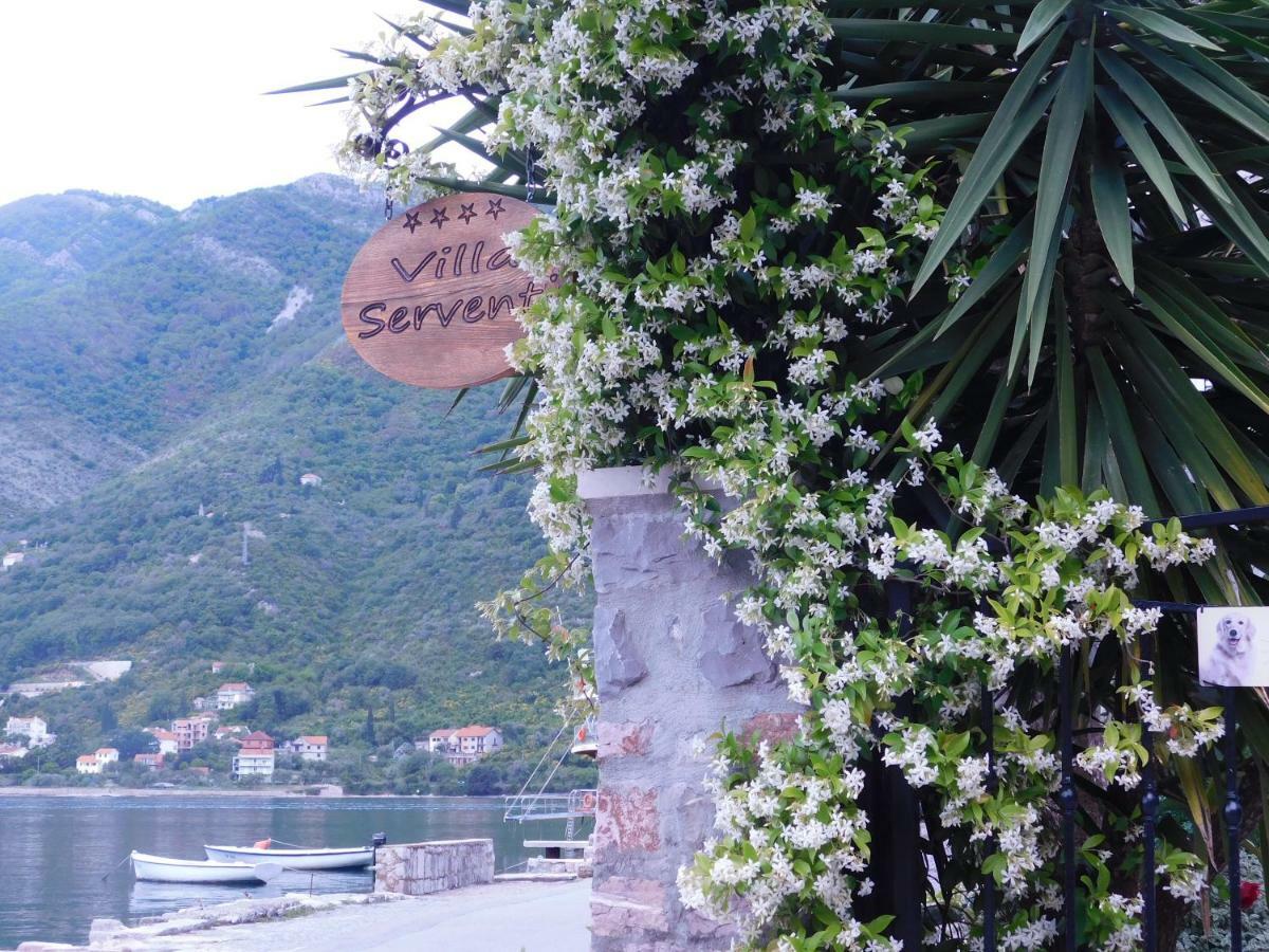 Serventi * Tivat